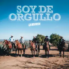 Soy de Orgullo - Single by La Destreza album reviews, ratings, credits