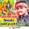 Chay Nahi Ganja Pilao Ye Parvati Ka Pati Hain - Single album lyrics, reviews, download