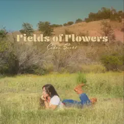 Field of Flowers Song Lyrics