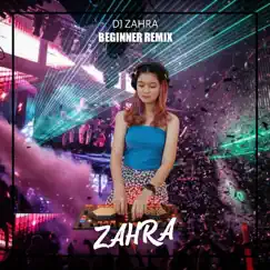 Beginner (Remix) - Single by Dj Zahra album reviews, ratings, credits