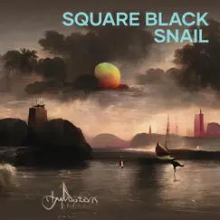 Square Black Snail Song Lyrics