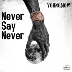 Never Say Never - Single by YoungMow album reviews, ratings, credits