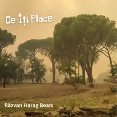 Ce Îți Place - Single by Răzvan Harag album reviews, ratings, credits
