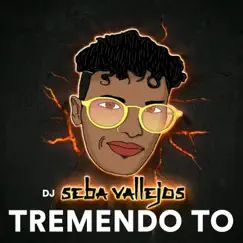 Tremendo To - Single by DJ Seba Vallejos album reviews, ratings, credits