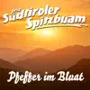 Pfeffer im Bluat album lyrics, reviews, download