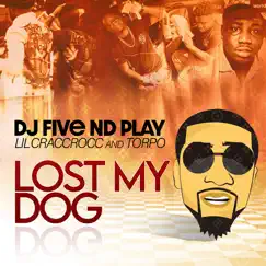 Lost My Dog Song Lyrics