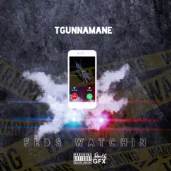 Feds Watchin - Single by Tgunnamane album reviews, ratings, credits
