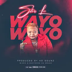 Wayo - Single by Silva Lee album reviews, ratings, credits