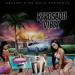 REPOSADO VIBEZ (feat. Dollar Sign Malc) - Single by SUPREME C album reviews, ratings, credits