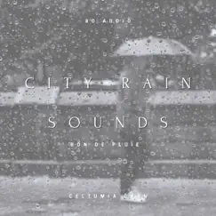 Boston City Rain Sounds Song Lyrics