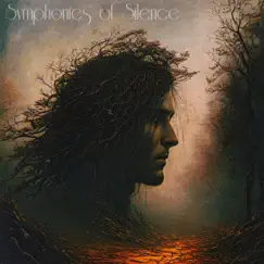 Symphonies of Silence (feat. LyricsJstBounce & Evan Taylor) Song Lyrics