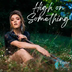 High on Something - Single by Taylor Hughes album reviews, ratings, credits