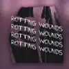 Rotting Wounds (feat. epitomeoffailure) - Single album lyrics, reviews, download