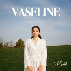 Vaseline Song Lyrics