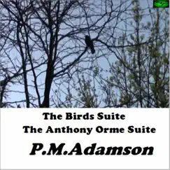 The Anthony Orme Suite: 6. Snow Song Lyrics