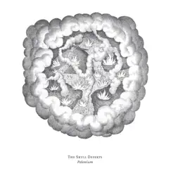 Polonium - EP by The Skull Defekts album reviews, ratings, credits