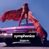 Aerosmith Goes Classical (A Symphony Tribute) - Single album lyrics, reviews, download