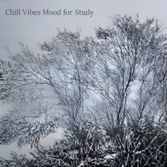 Chill Vibes Mood for Study - Single by Midnight Blue album reviews, ratings, credits