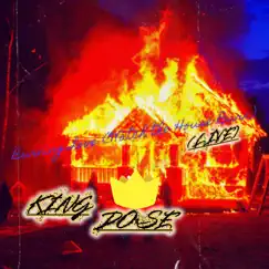 Burning Love (Watch the House Burn) [Live] - Single by King Dose album reviews, ratings, credits
