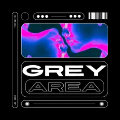 Grey Area Song Lyrics