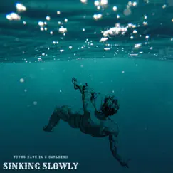 Sinking Slowly - Single by Young Hawk IA album reviews, ratings, credits