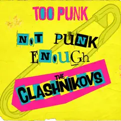 Too Punk Not Punk Enough Song Lyrics
