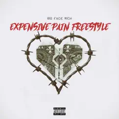Expensive Pain Freestyle - Single by Big Face Rich album reviews, ratings, credits