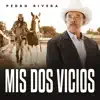 Mis Dos Vicios - Single album lyrics, reviews, download
