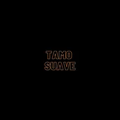 Tamo Suave (Remix) - Single by Stay Sauce, Mc ThZl & Quiel Orgado album reviews, ratings, credits