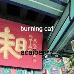 Burning Cat Song Lyrics