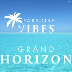 Grand Horizon by PARADISE VIBES album reviews, ratings, credits