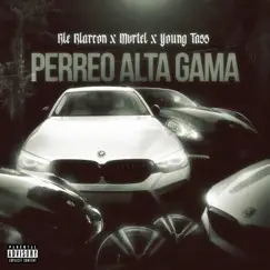 Perreo Alta Gama - Single by Young Tass, Ale Alarcon & Mvrtel album reviews, ratings, credits
