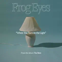 When You Turn on the Light - Single by Frog Eyes album reviews, ratings, credits