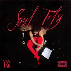 Soul Fly - Single by YSN Fab album reviews, ratings, credits