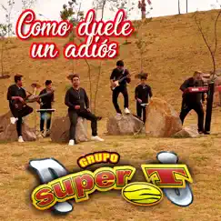 Como Duele Un Adiós - Single by Grupo Super T album reviews, ratings, credits
