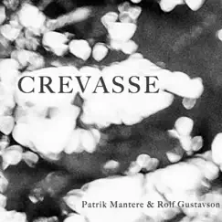 Crevasse (feat. Patrik Mantere) - Single by Rolf Gustavson album reviews, ratings, credits