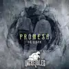 Promesa de Amor - Single album lyrics, reviews, download