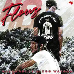 40 Flows (feat. Bless Watson) Song Lyrics