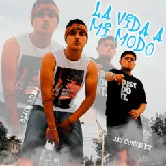 La vida a mi modo (feat. Jay Gonzalez) - Single by Black Bram album reviews, ratings, credits