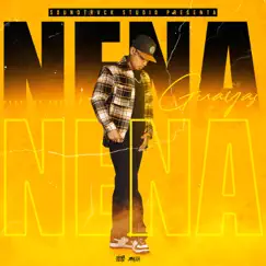 Nena - Single by Guayas & Rouse album reviews, ratings, credits