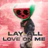 Lay All Your Love on Me (Slowed + Reverb) song lyrics