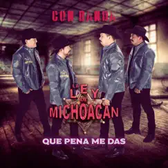 Que Pena Me Das (Banda) by La Ley de Michoacán album reviews, ratings, credits