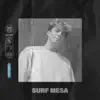 Surf Mesa at CRSSD Festival 2021: Ocean View (DJ Mix) album lyrics, reviews, download