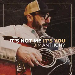 It's Not Me It's You - Single by Jim Anthony album reviews, ratings, credits