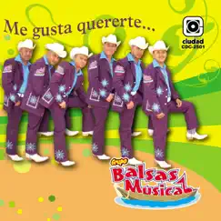 Me gusta quererte by Grupo Balsas Musical album reviews, ratings, credits