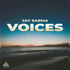 Voices - Single by Jay Sarma album reviews, ratings, credits