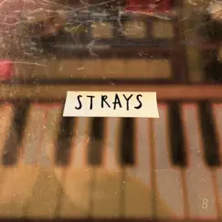 Strays (B) - EP by Sonaura album reviews, ratings, credits