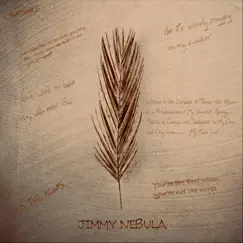 My Palm Leaf by Jimmy Nebula album reviews, ratings, credits