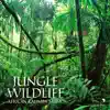 Jungle Wildlife (African Kalimba Music) album lyrics, reviews, download