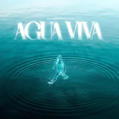 Agua Viva Song Lyrics